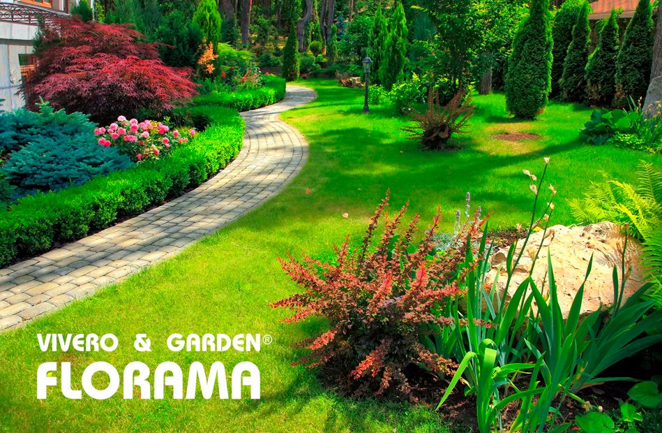 Cómo diseñar un jardín: técnicas, consejos e ideas originales, por VIVEROS FLORAMA