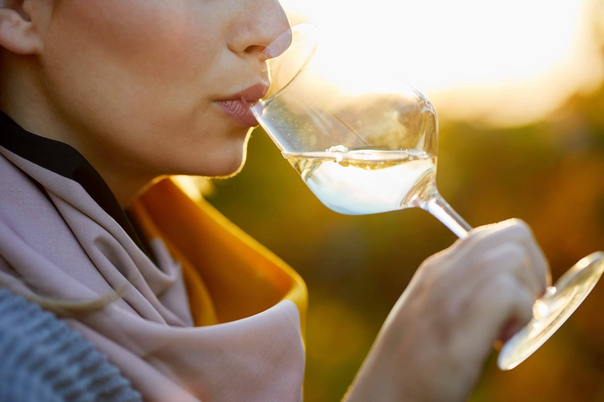 Comprar vino online siguiendo las recomendaciones de Your Wine at Home