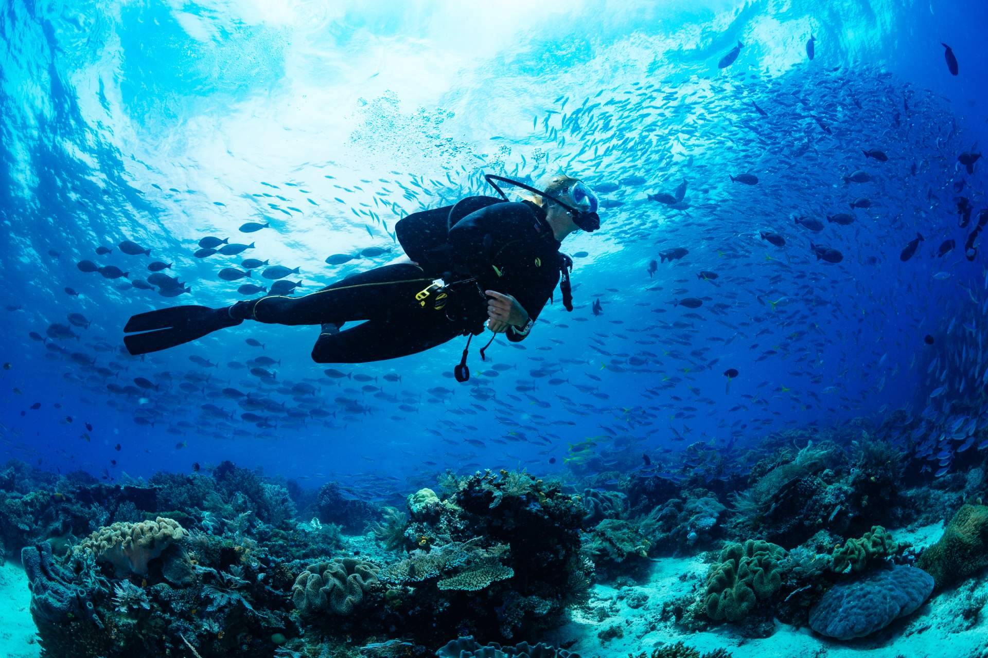 Practicar buceo en Murcia con Diveasapp