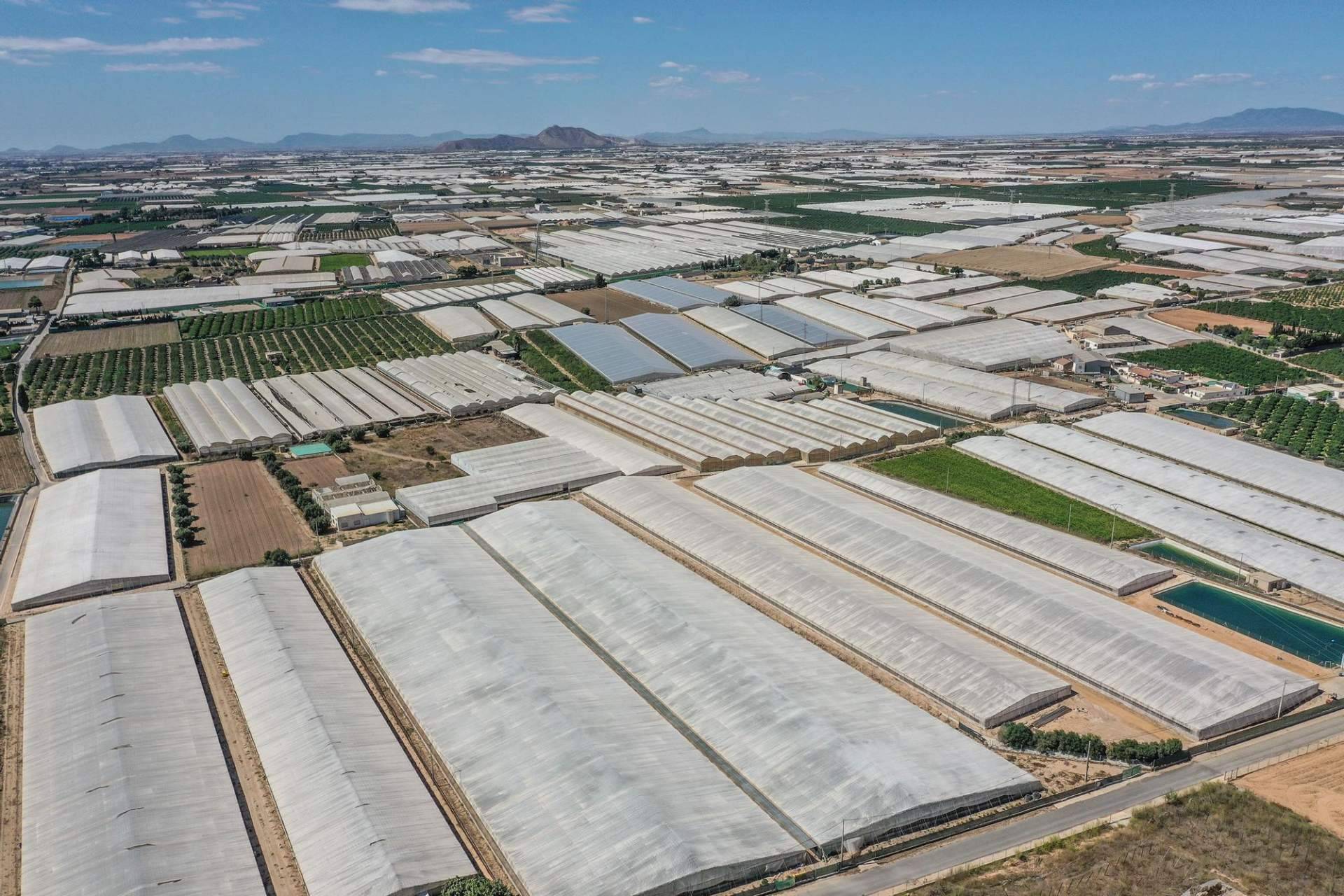 La falta de agua provoca la llegada de conflictos