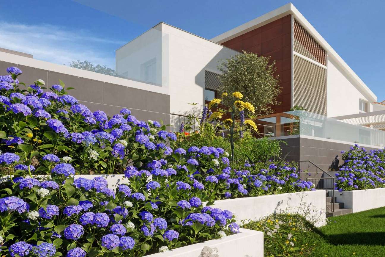 Pacheco Arquitectos y su especialidad en el diseño de espacios verdes