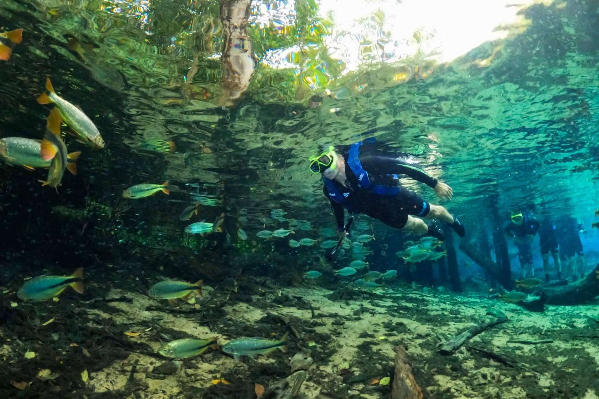 Viagens e Caminhos da algunos consejos para disfrutar de Bonito MS