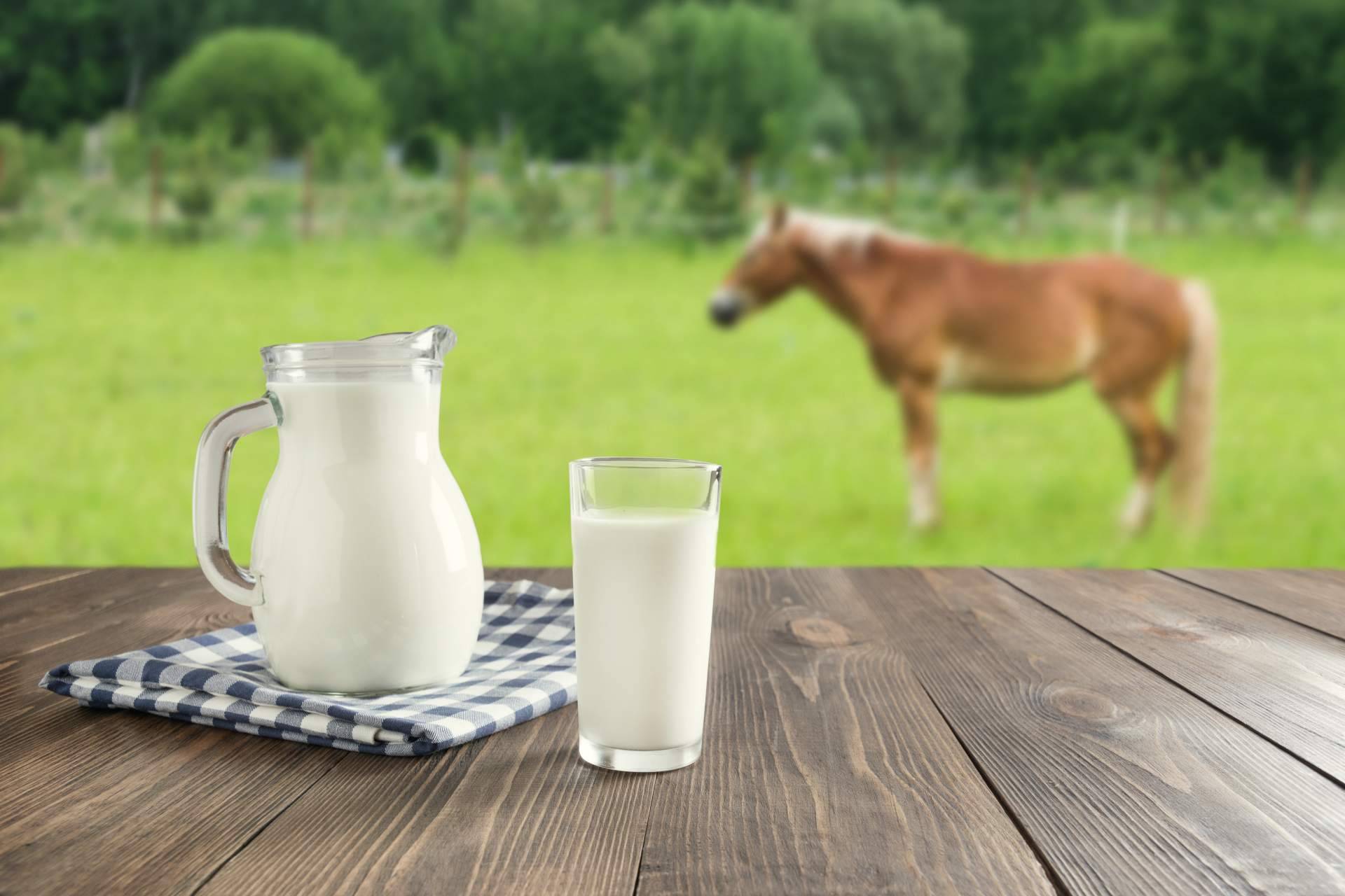 eQuaid innova en fórmulas que maximizan los beneficios de la leche de yegua