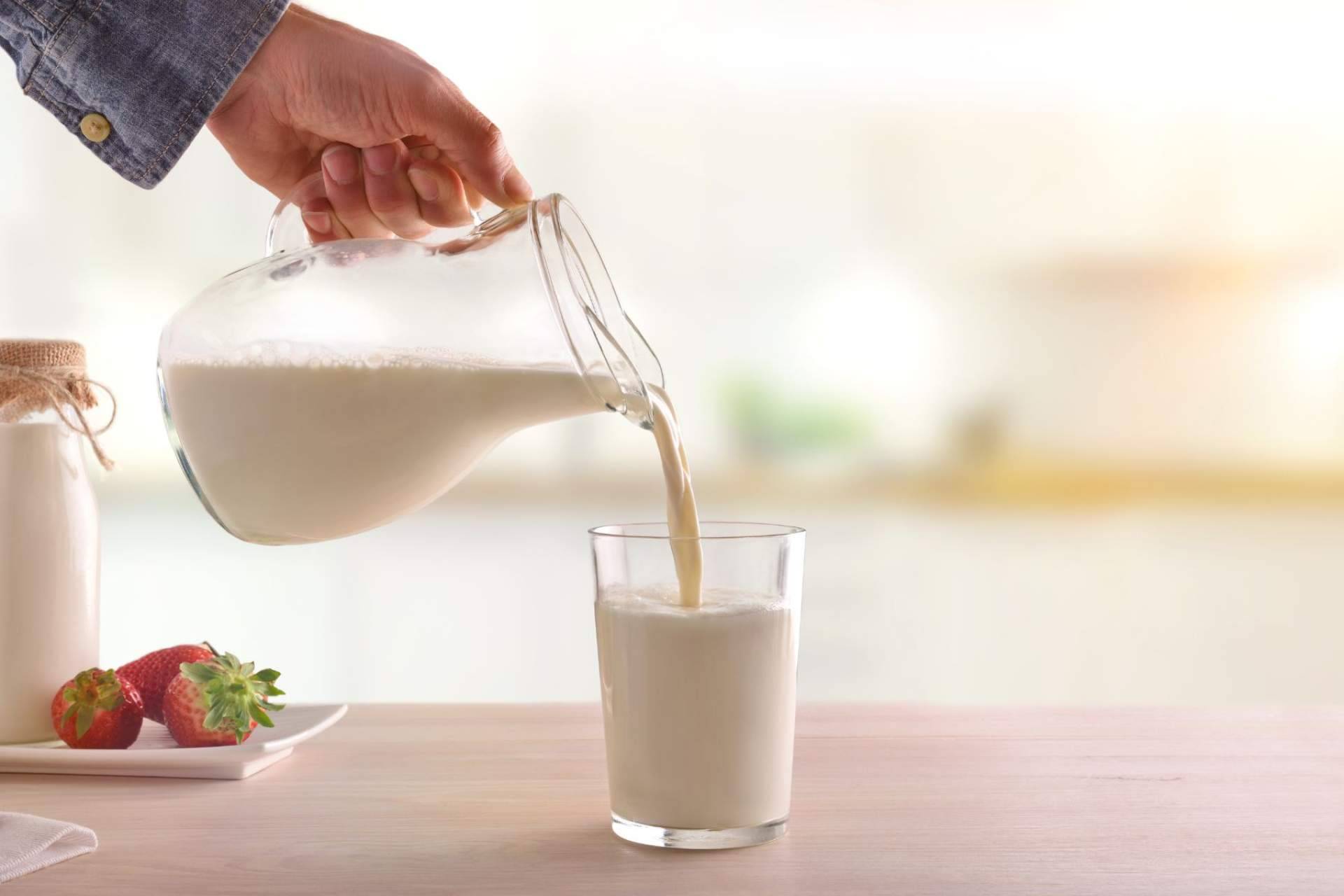 ¿Cuáles son los beneficios de la leche de yegua de calidad?, por eQuaid Research