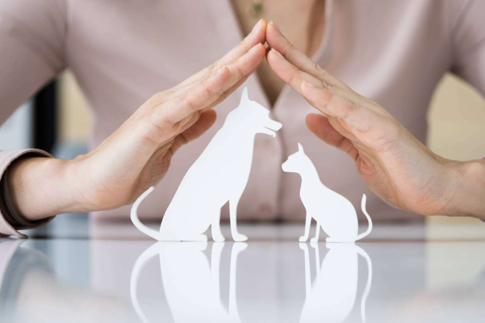Ucoga y su gama de seguros para mascotas