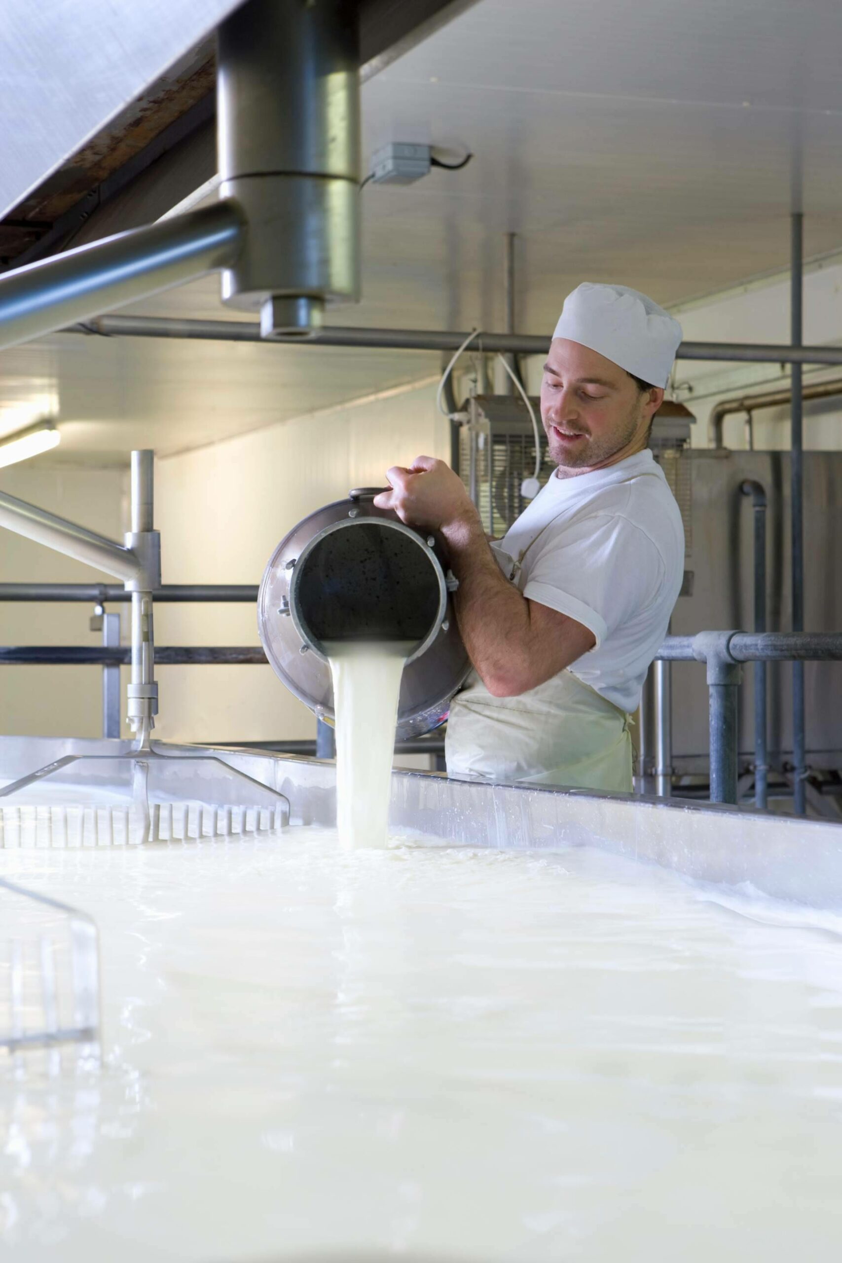 Cata de Queso; Una Experiencia Única en Albacete