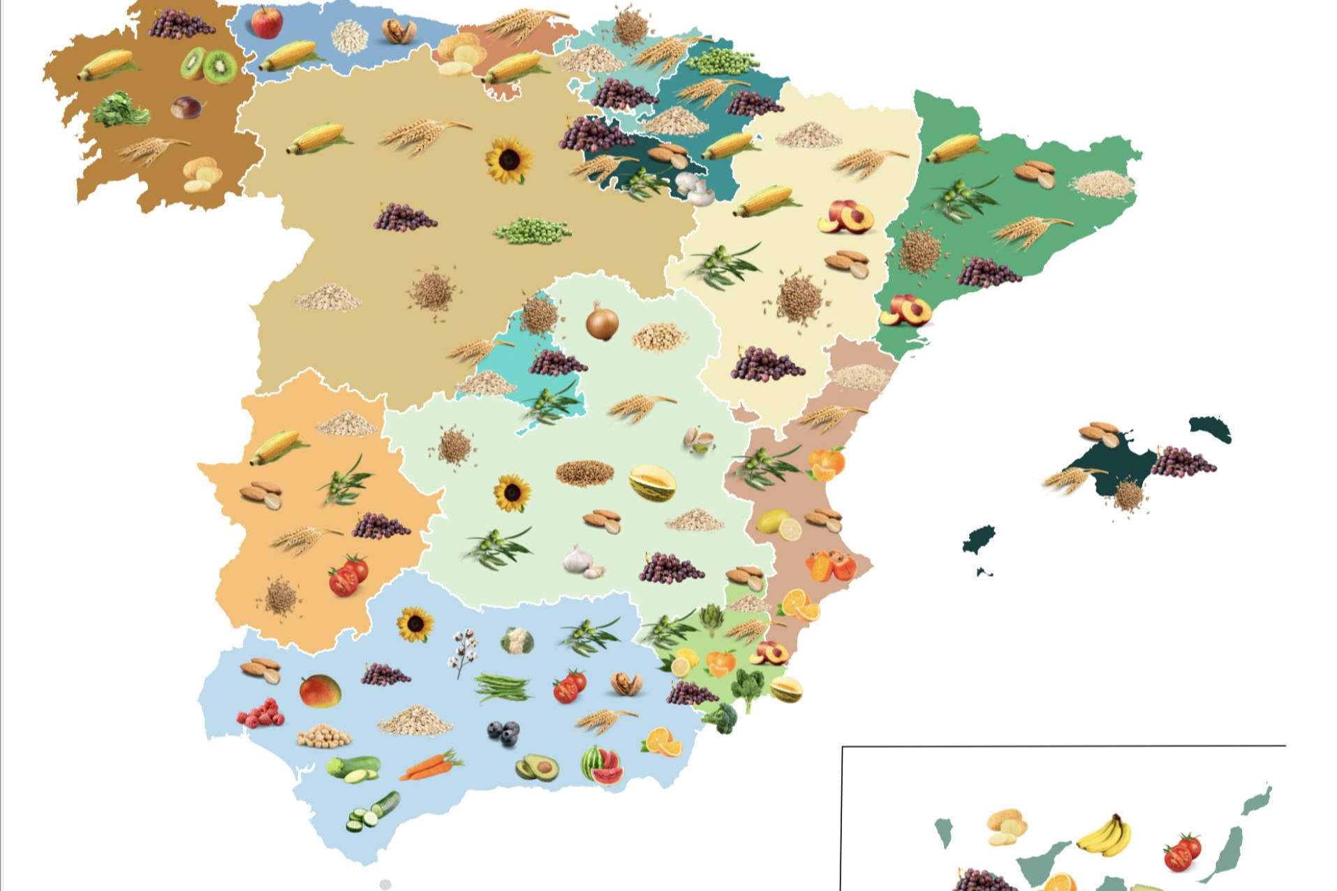 Informe de Coyuntura del Sector Inmobiliario Rústico 2023