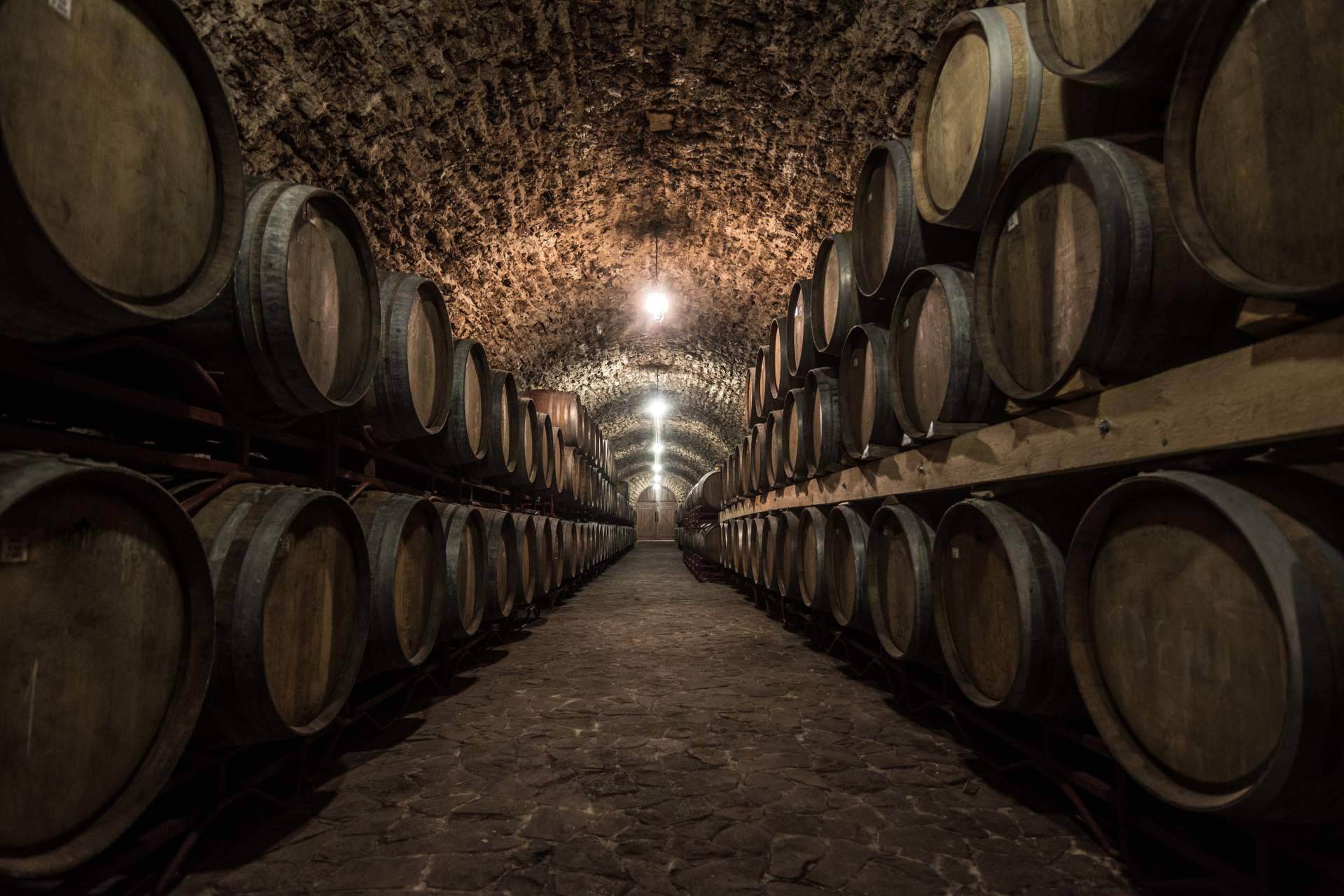 Descubrir Emilio Moro; La Joya de Ribera del Duero