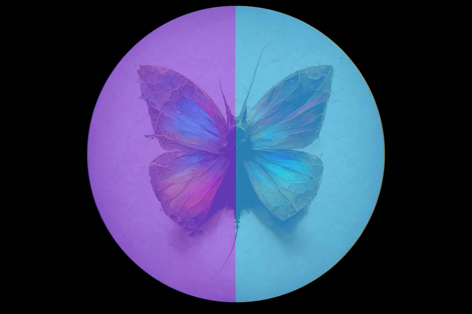 La colección 'Color Transformation Collection' del artista Antonio Sánchez