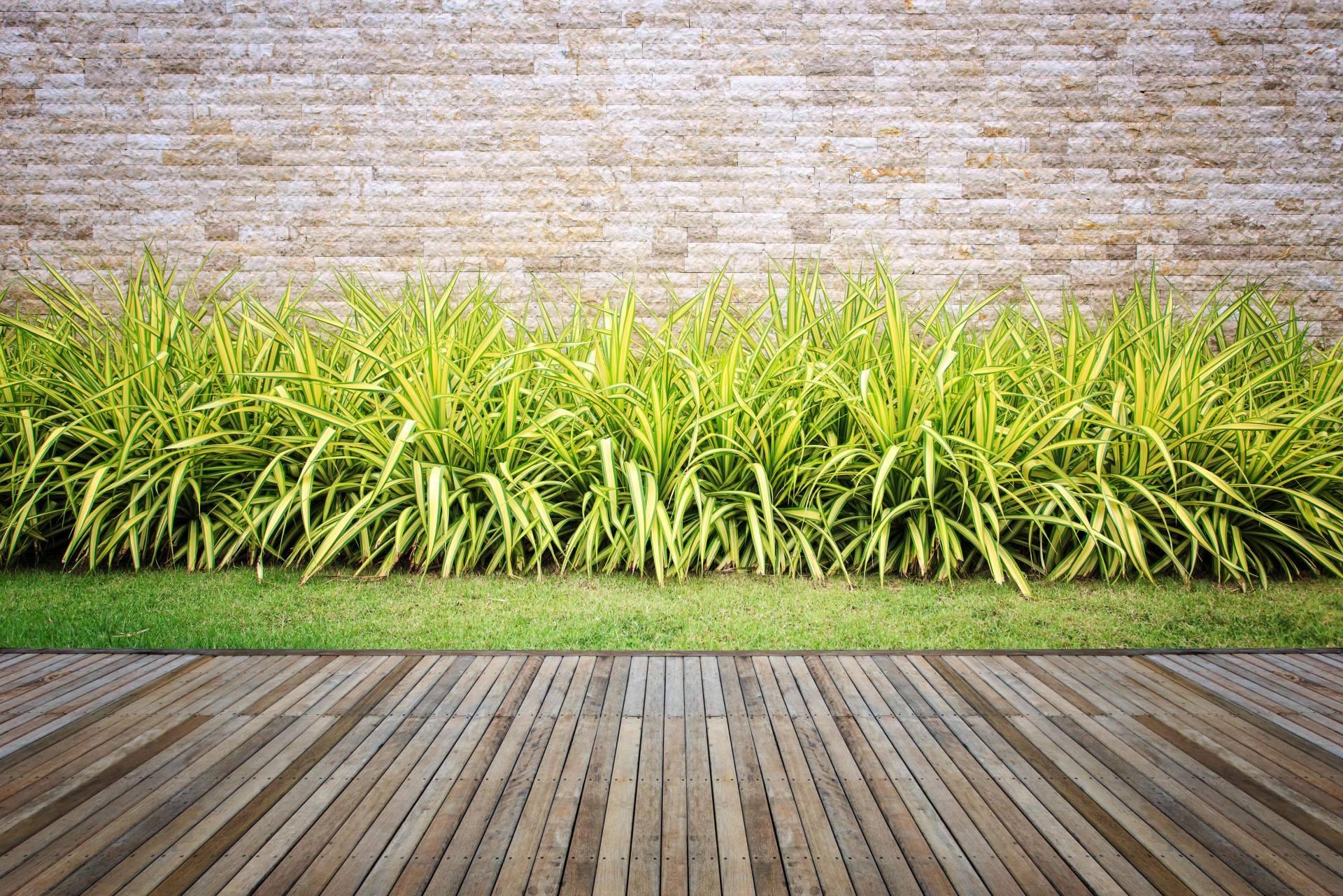 El poder transformador de los jardineros en Valencia
