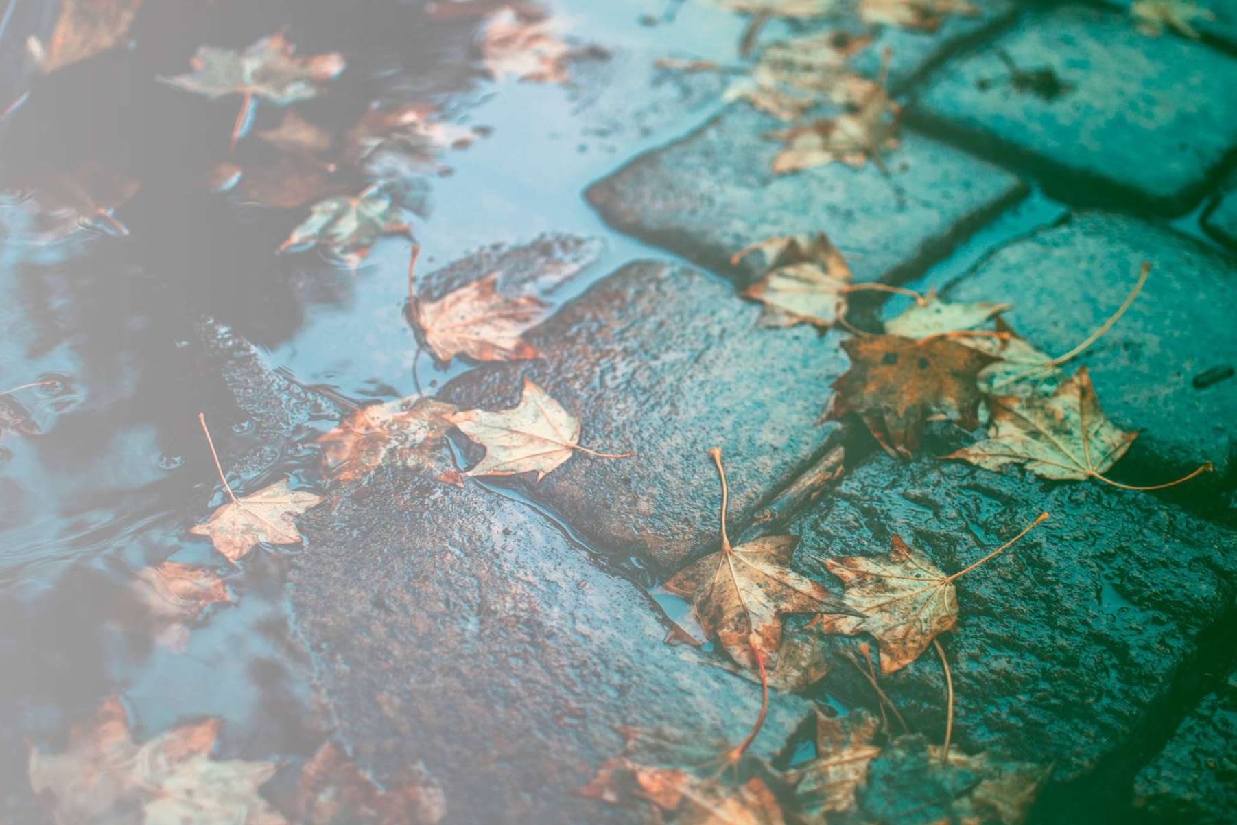 Proteger el hogar de la lluvia; Consejos para evitar humedades y filtraciones