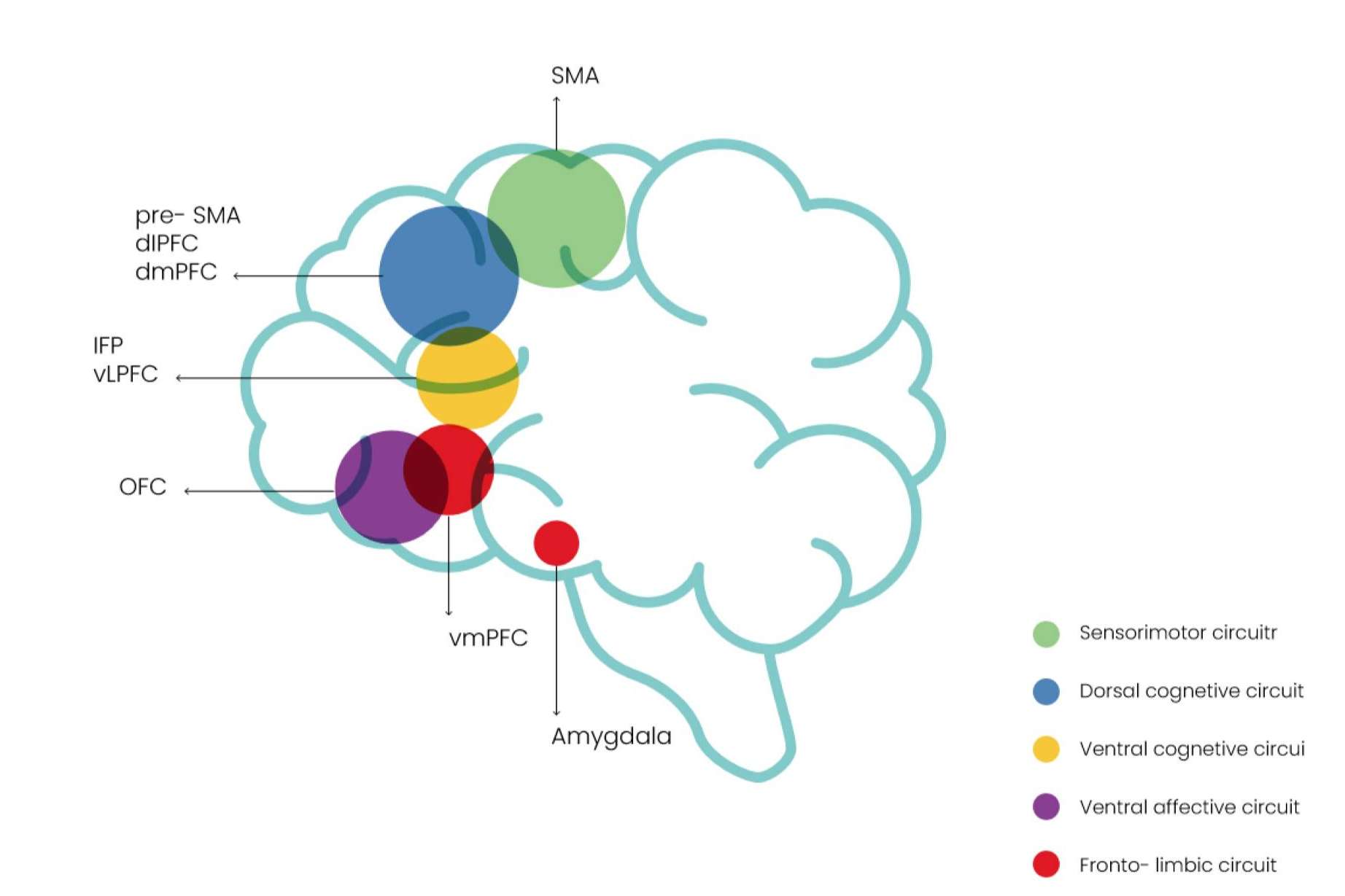 Clínica MHS se especializa en tratamientos de psiquiatría para adultos que buscan una mejor salud mental