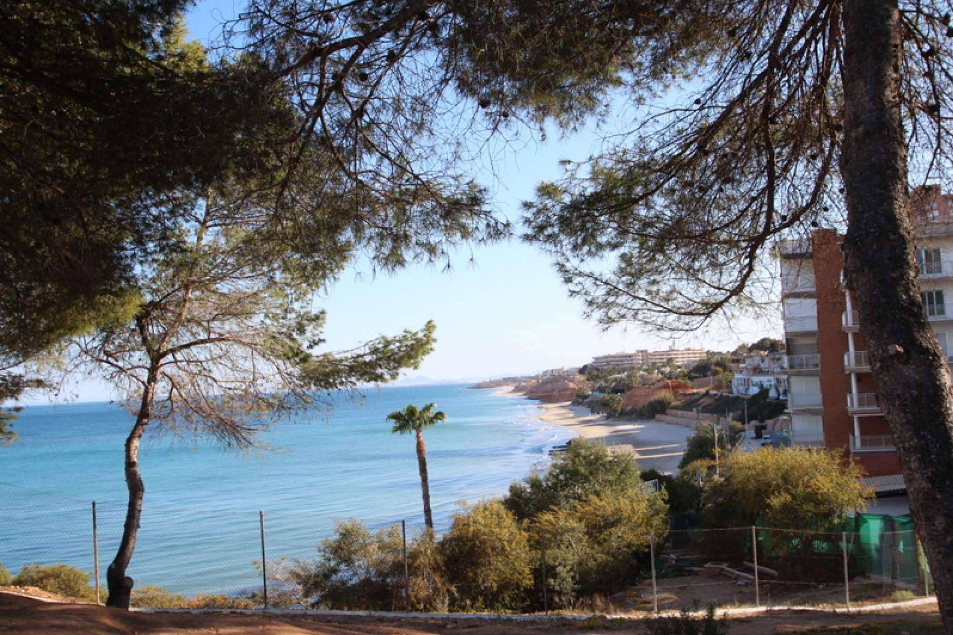Ibero Homes lidera la transformación del mercado inmobiliario en Torrevieja y Orihuela Costa en 2025