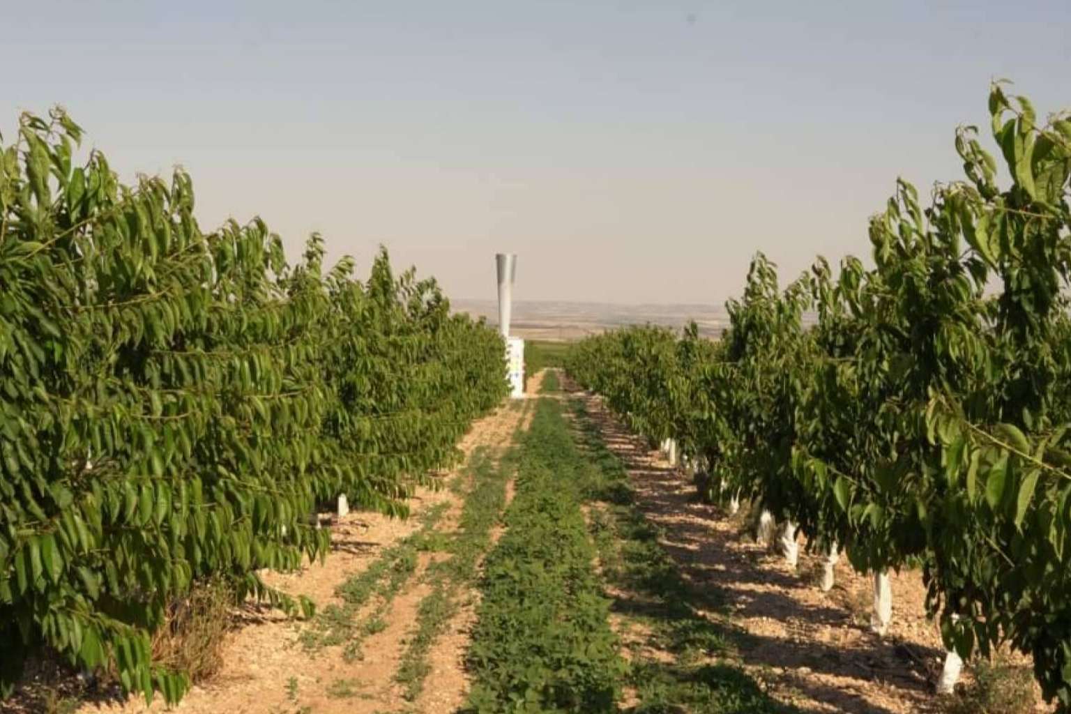 El clamor del agricultor; Nace ANSAS como defensa de un sistema antigranizo frente a la criminalización