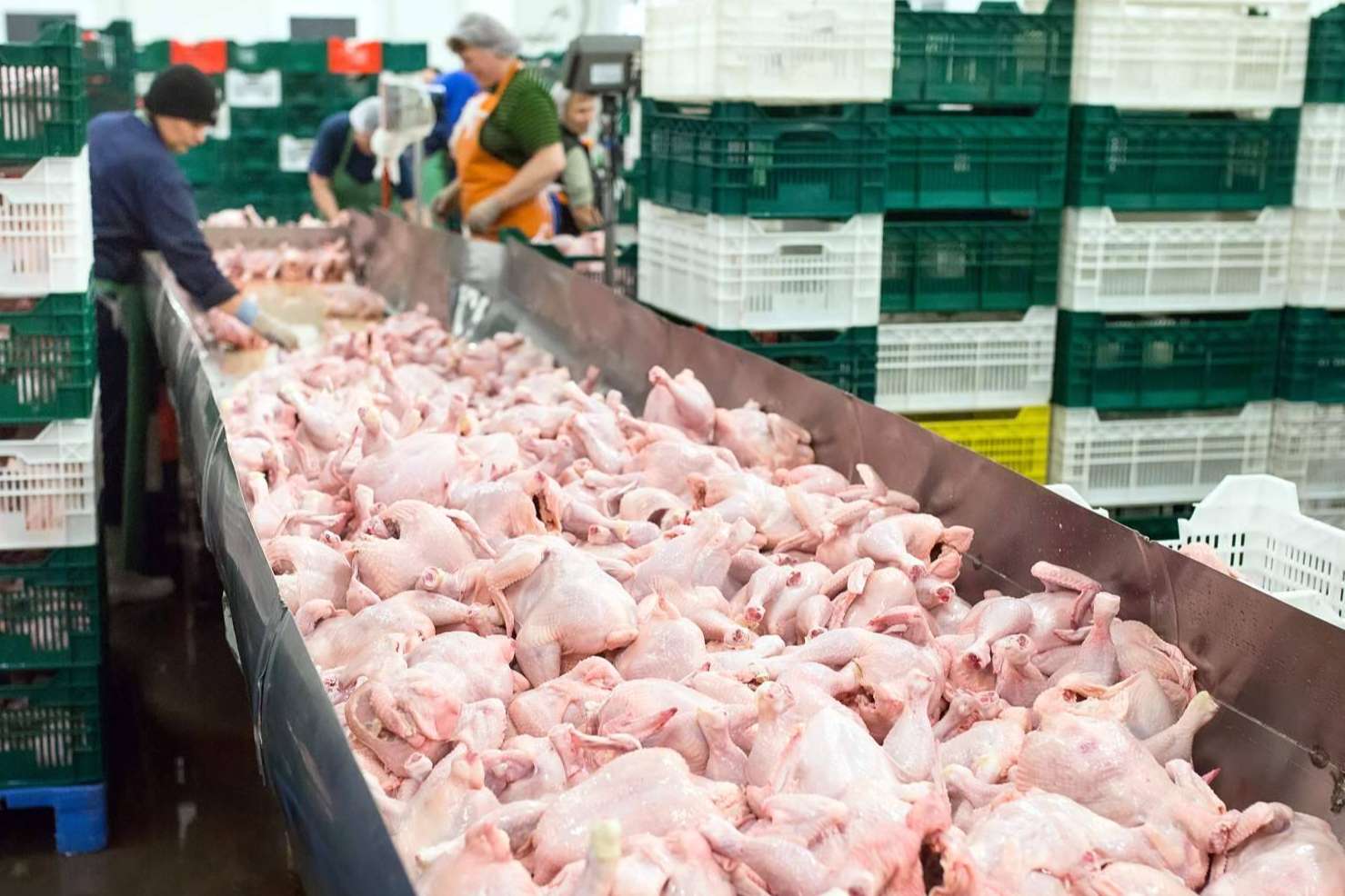 ERP específico para la Industria Cárnica
