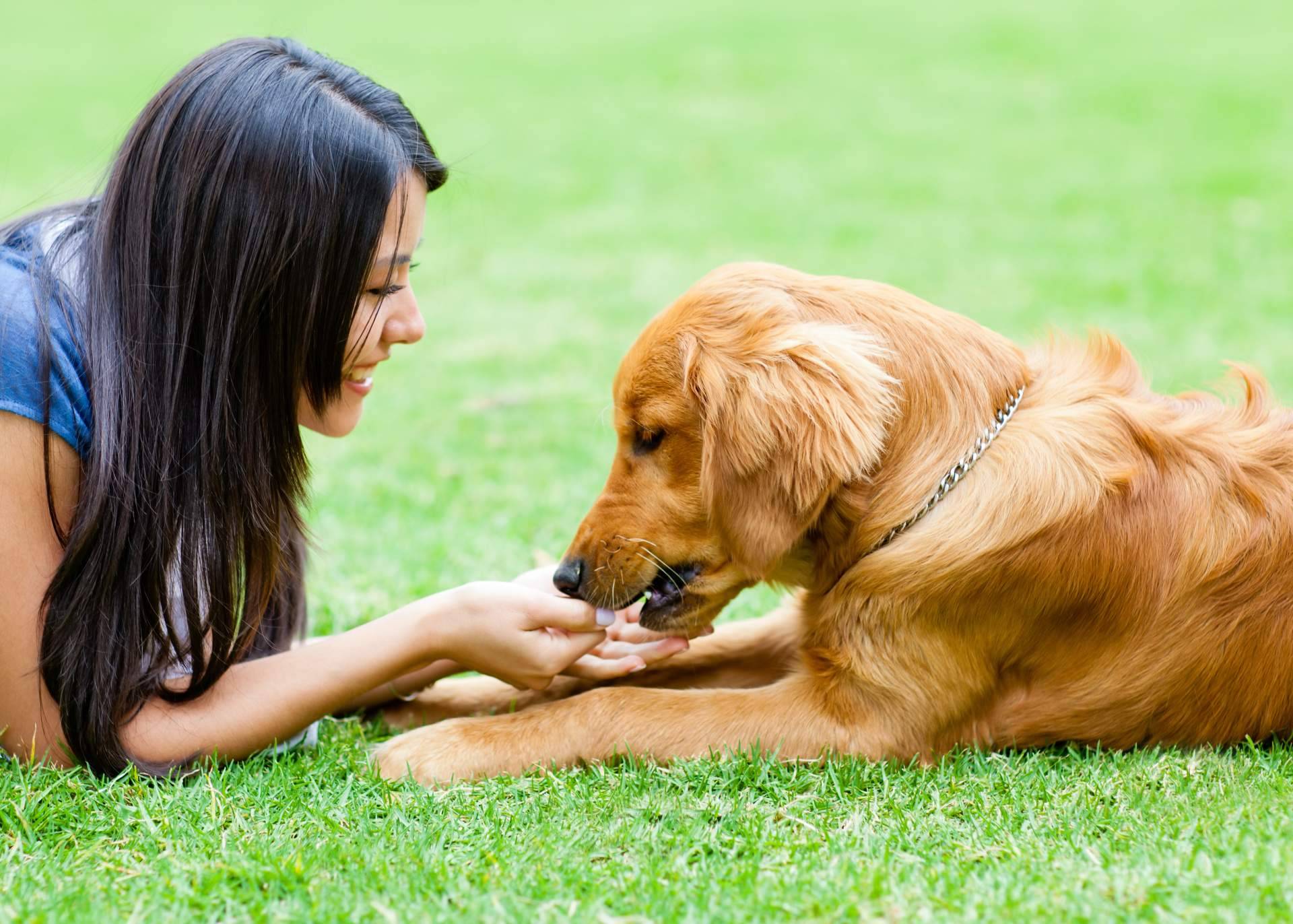 MAC’s, la marca alemana de alimentación natural para perros y gatos que consolida su presencia en España