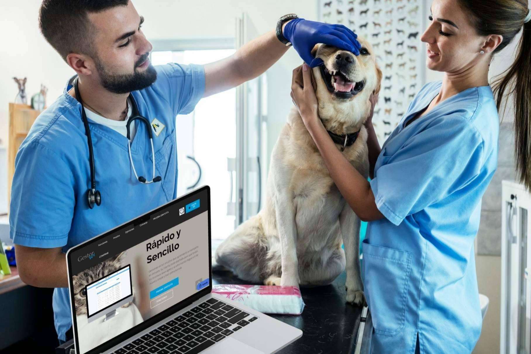 La gestión veterinaria que cumple para el profesional; descubrir GestorVet