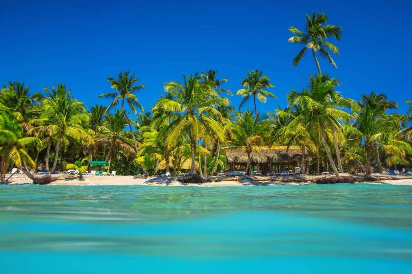 En busca del mejor viaje al Caribe