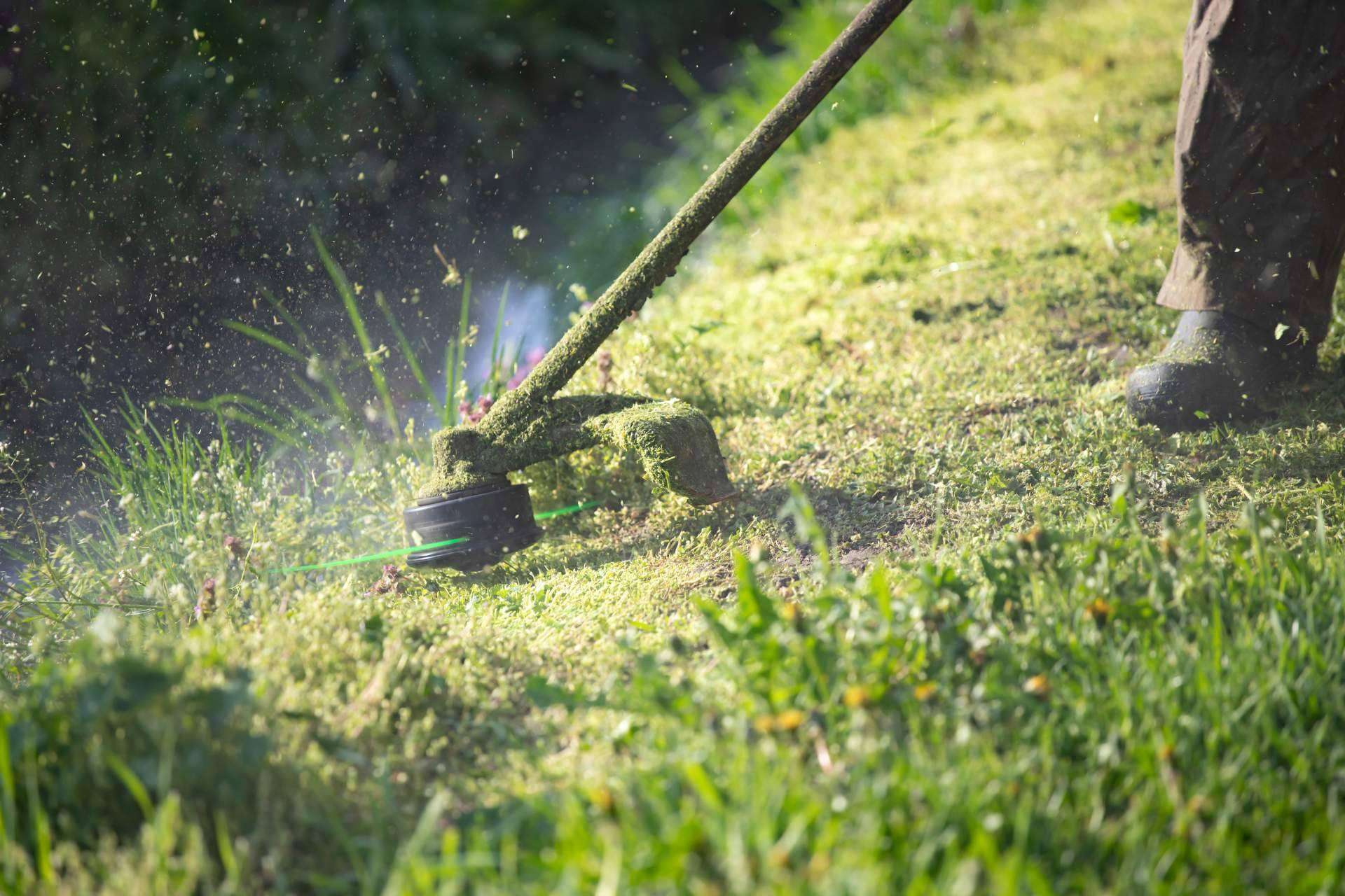 Redescubriendo el valor de los espacios verdes; servicios de jardinería en Barcelona