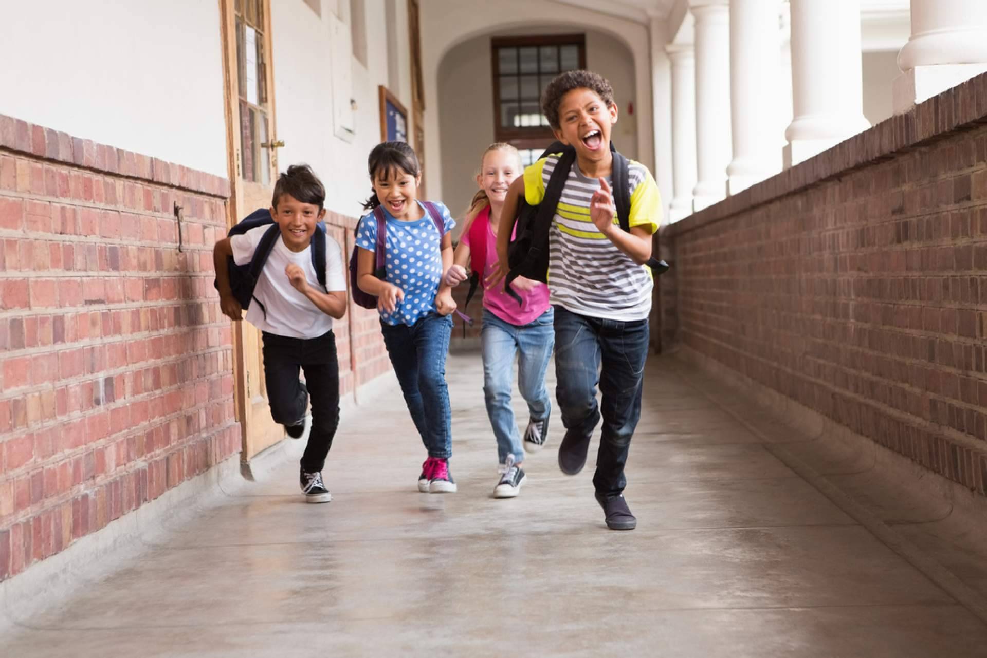 Mad English revoluciona el aprendizaje del inglés con su método TELL y clases en vivo