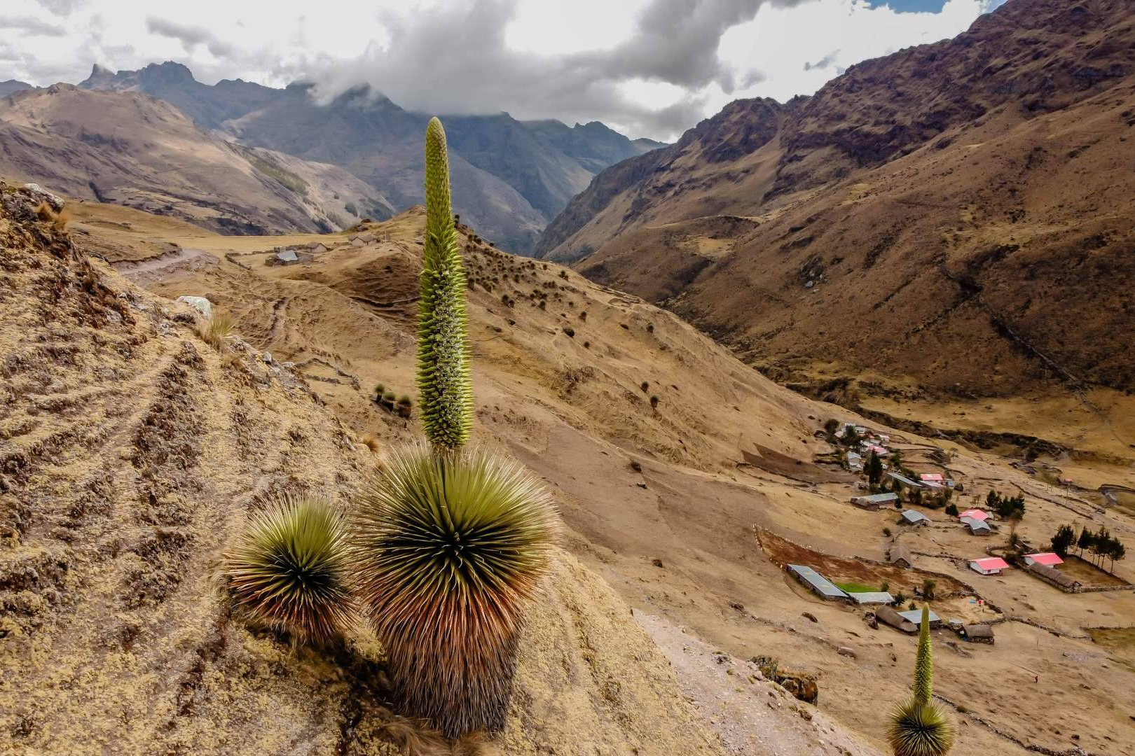 Explorar el Valle de Lares en 4 días; naturaleza, cultura viva y bienestar andino