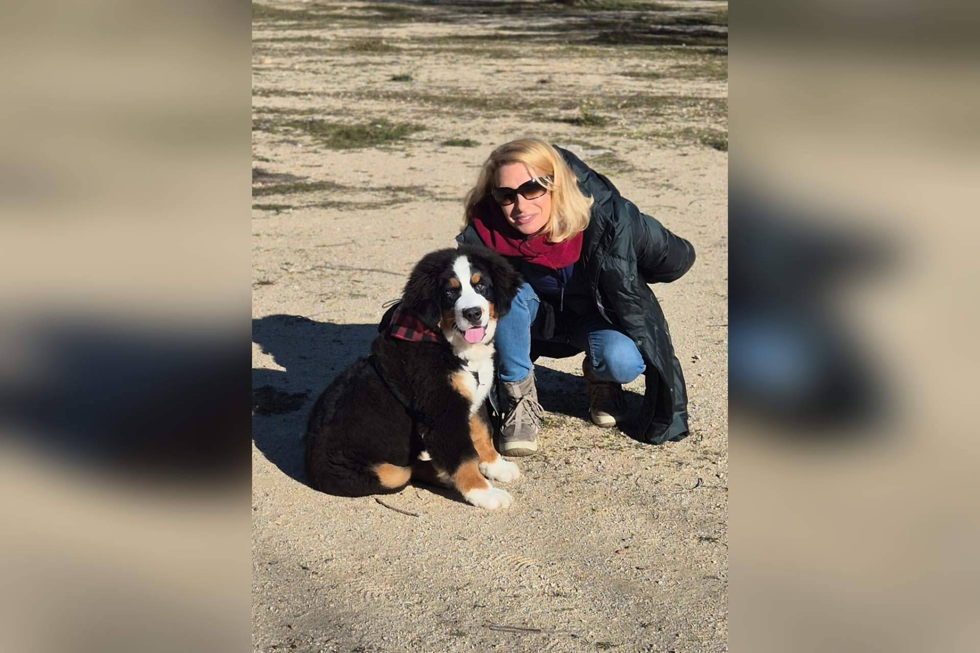 Referentes en adiestramiento canino en Madrid; la experiencia de Cole de Canes