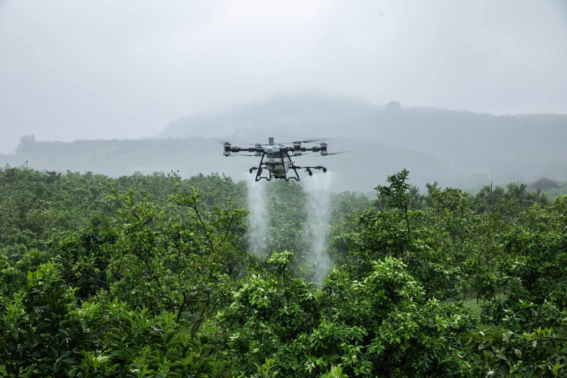 Llega a España el dron DJI Agras T100 de la mano de Aerofor, distribuidor oficial de DJI Agriculture