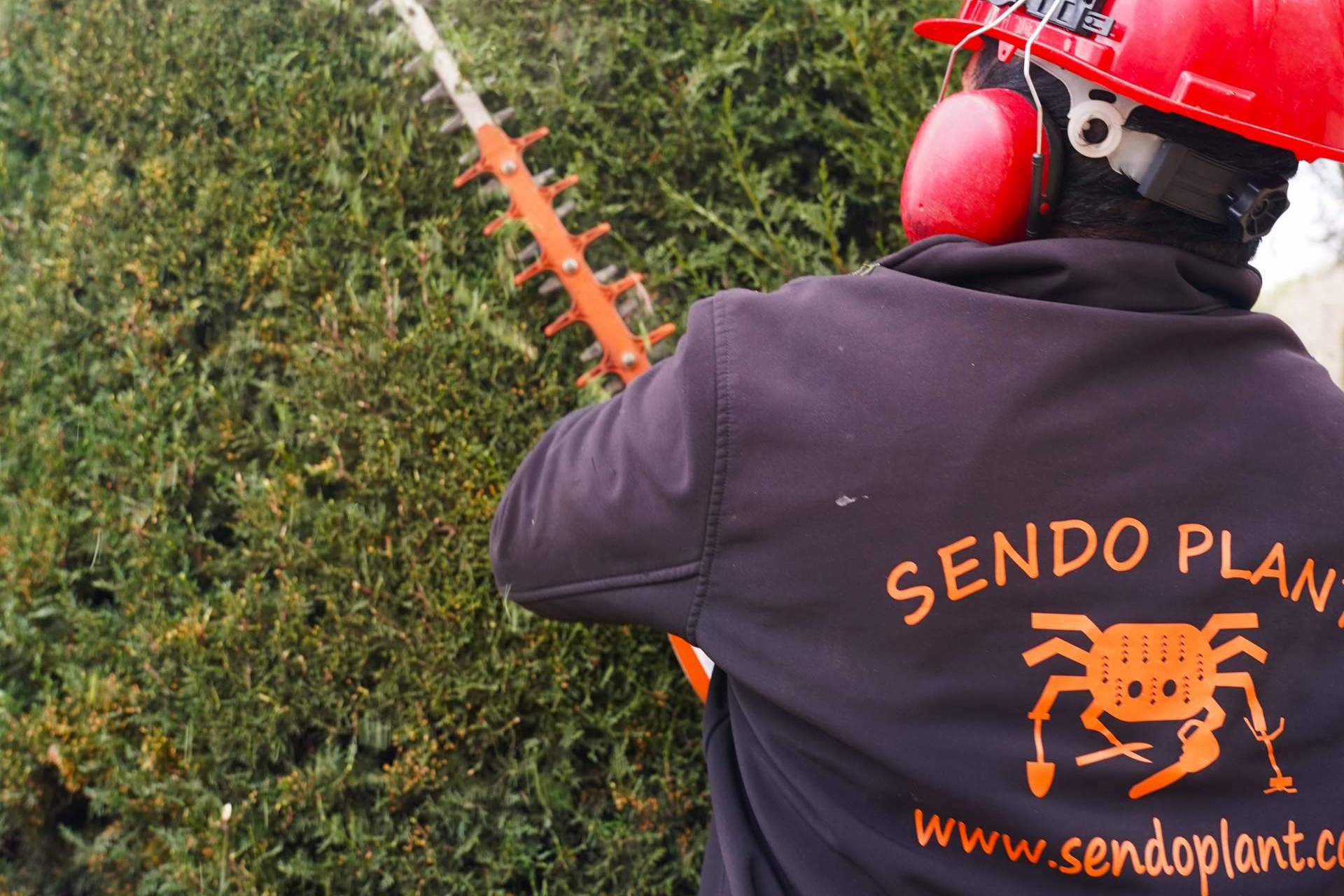 Jardinería profesional en Barcelona; la clave para espacios verdes que unen estética, eficiencia y sostenibilidad
