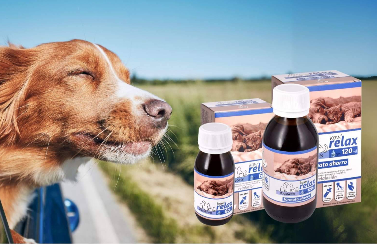 Kowi Nature; suplementos naturales para el bienestar de perros y gatos