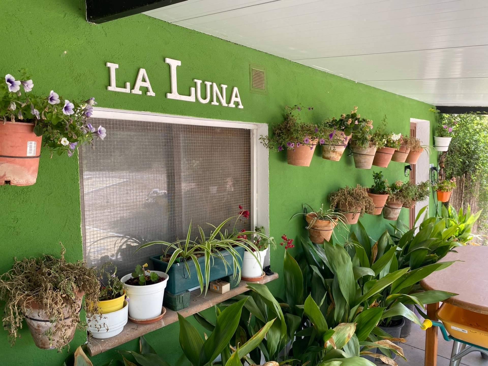 Granja La Luna, la alternativa segura y profesional para dejar a las mascotas