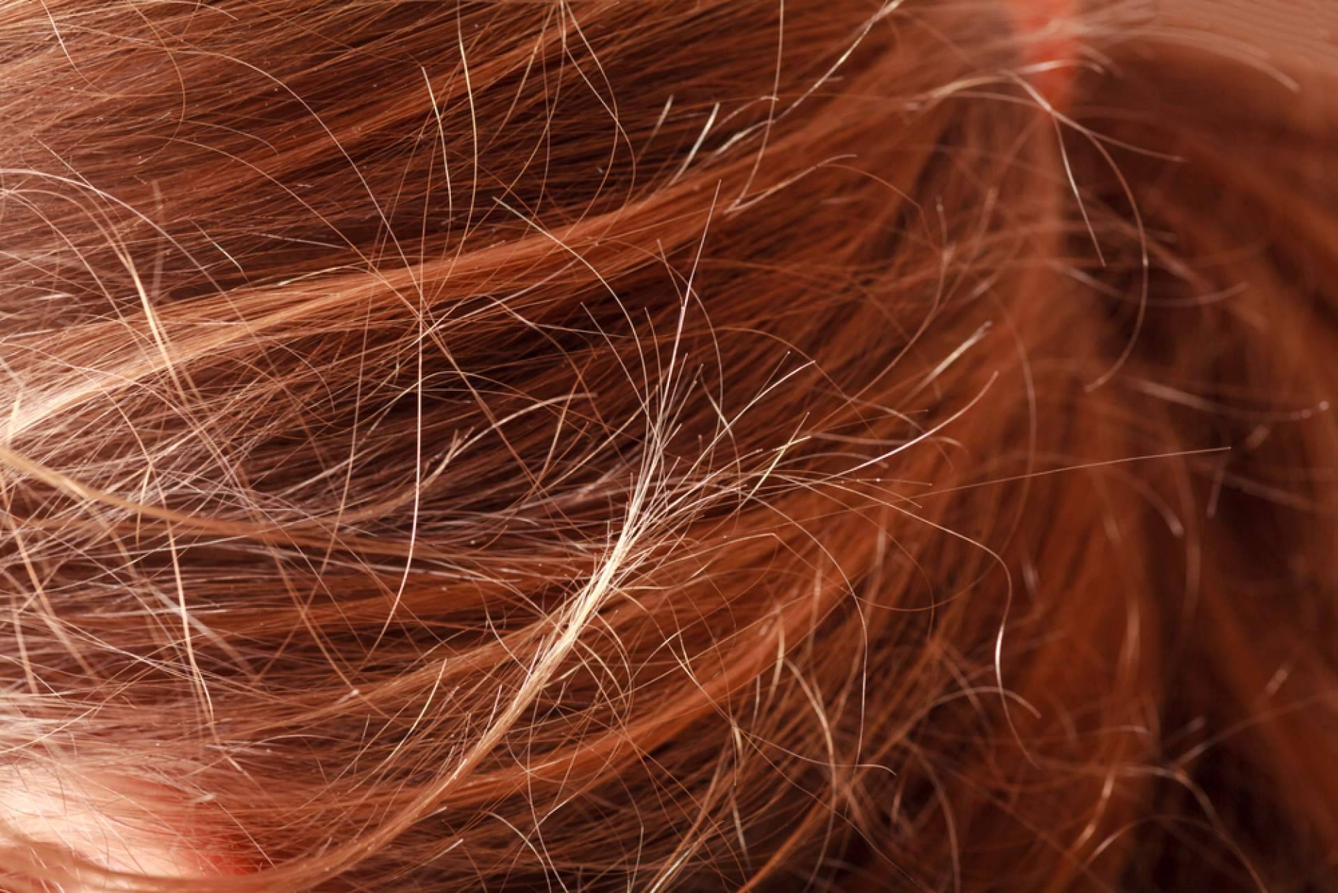 Cinco pasos esenciales para evitar el frizz en climas húmedos
