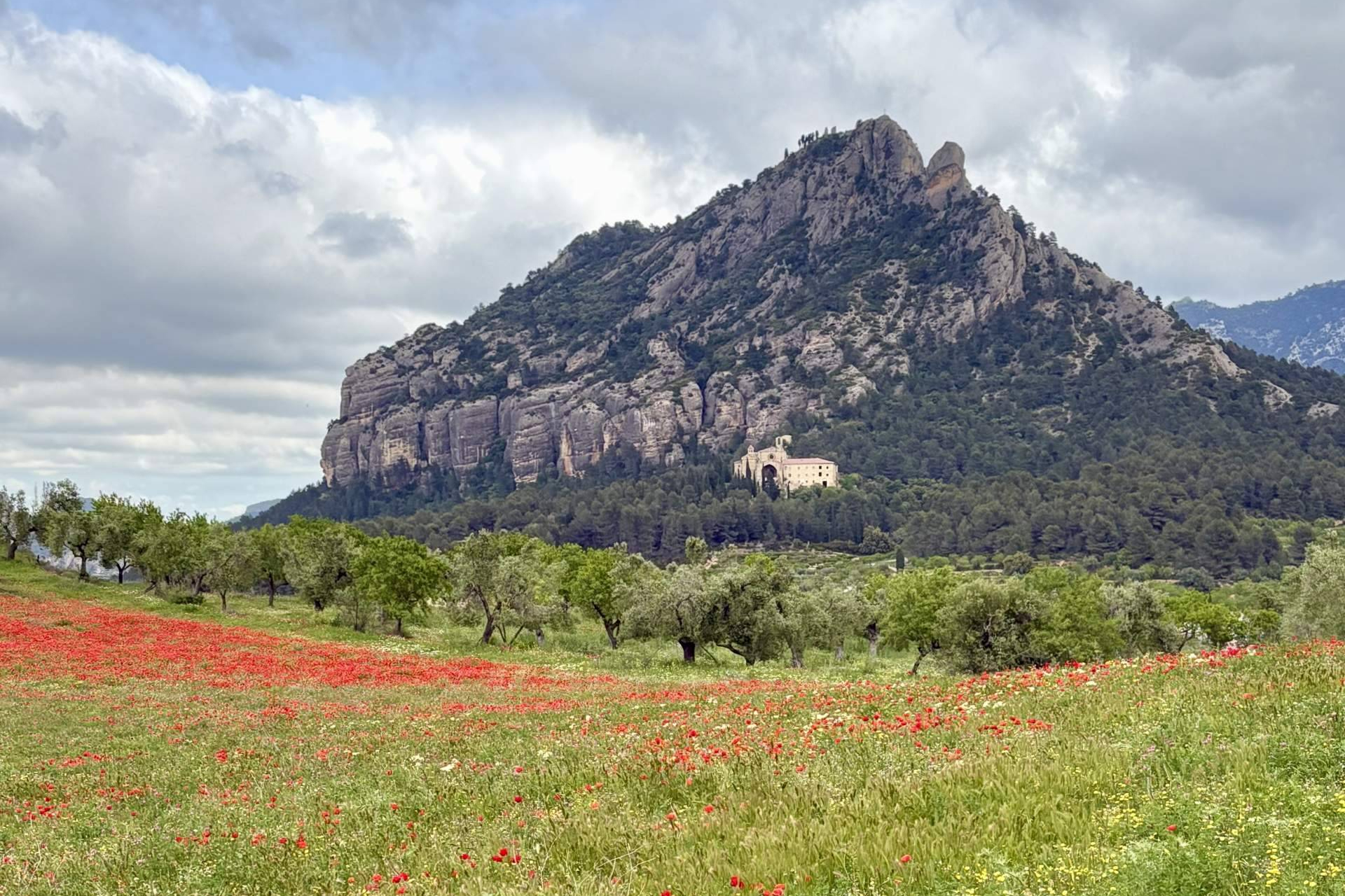 Descubrir Cataluña a través del turismo experiencial
