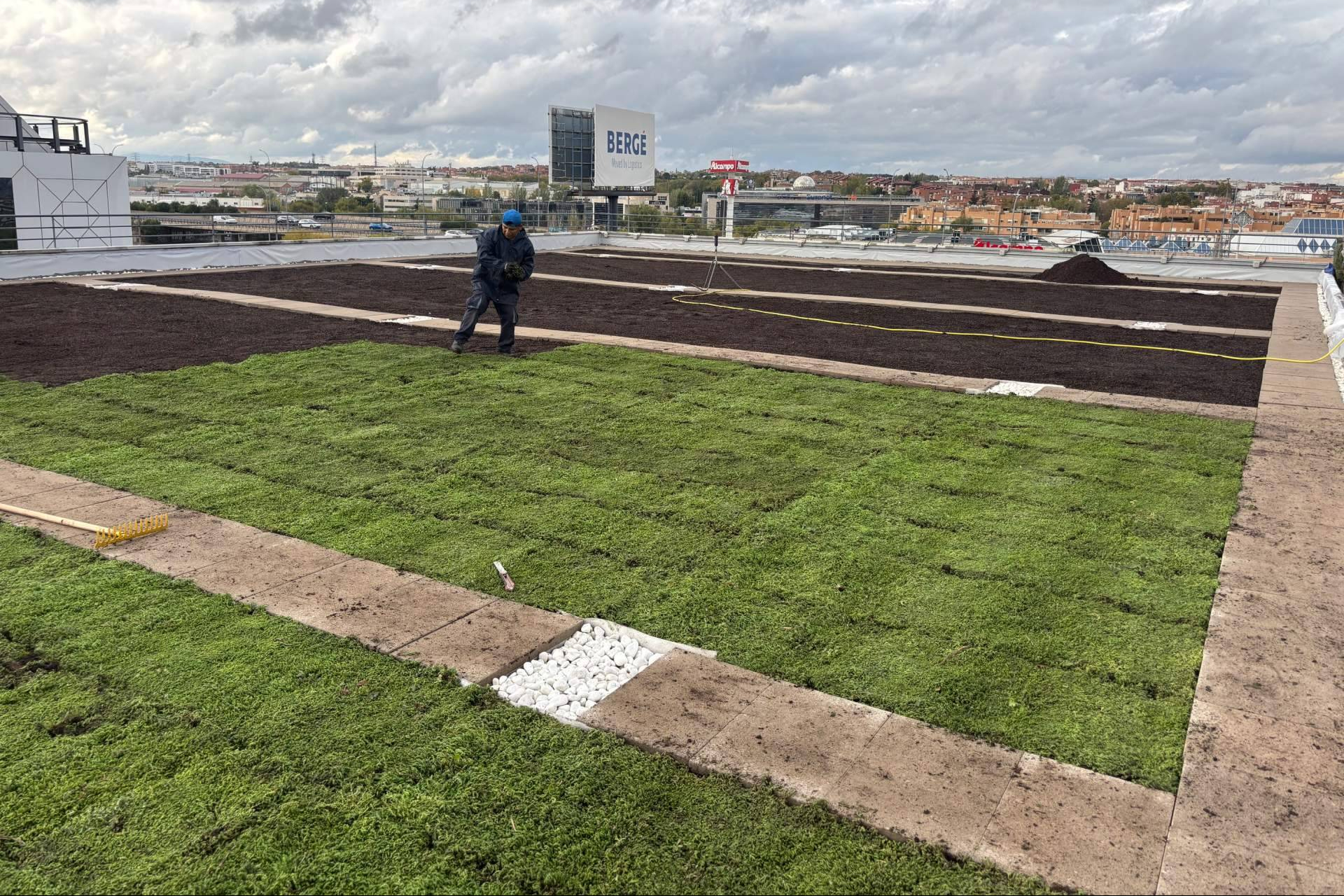 Cubiertas ajardinadas en edificios, una solución que combina eficiencia energética y sostenibilidad