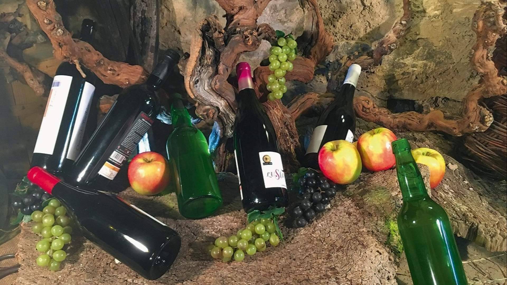 Los mejores planes de Enoturismo para esta primavera