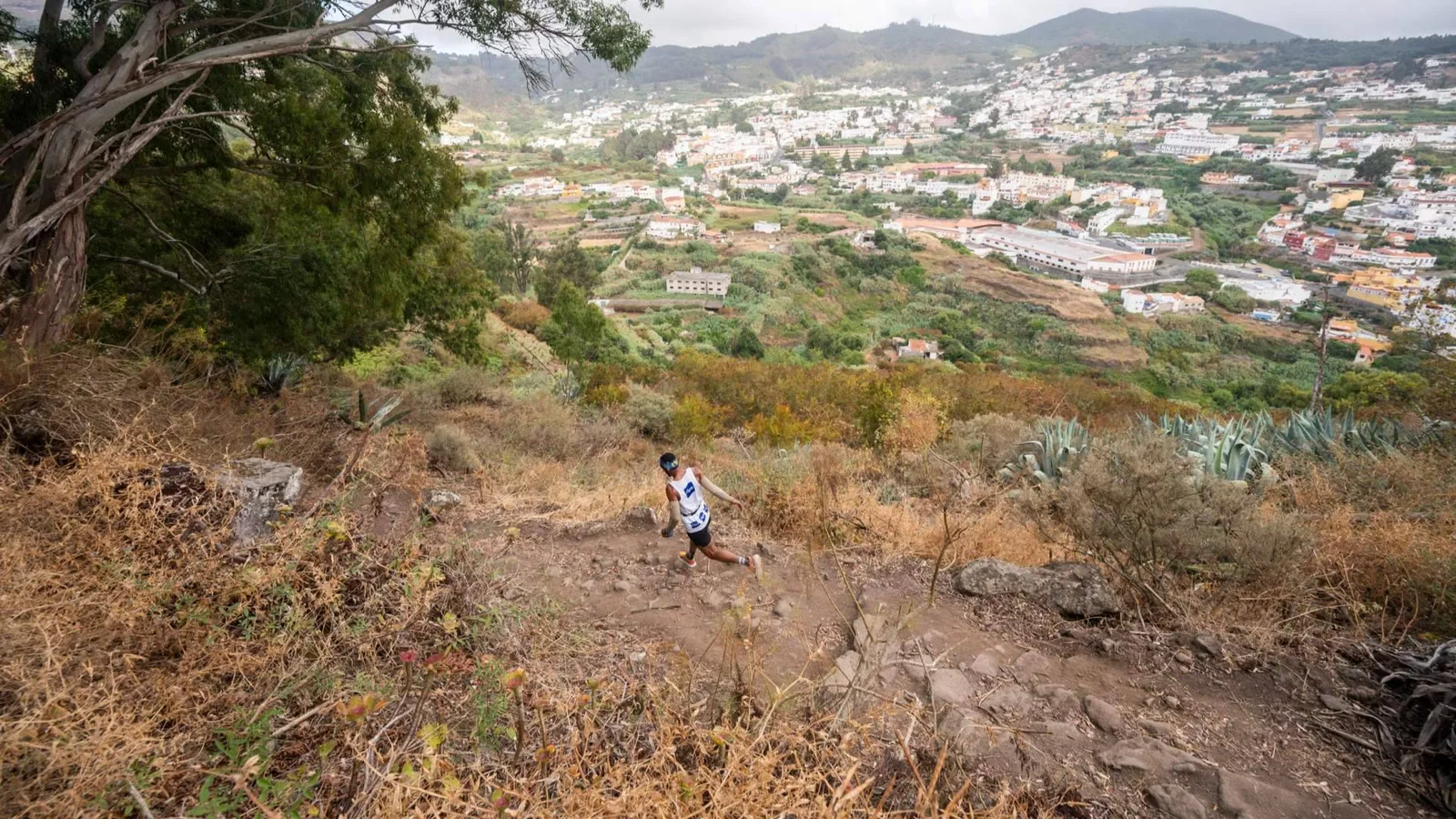Nelson Alves y Yurena Castrillo reinan en una XVI Aguas de Teror Trail renacida tras el invierno